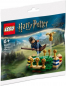 Preview: LEGO® Harry Potter 30651 Quidditch™ Training [neu]